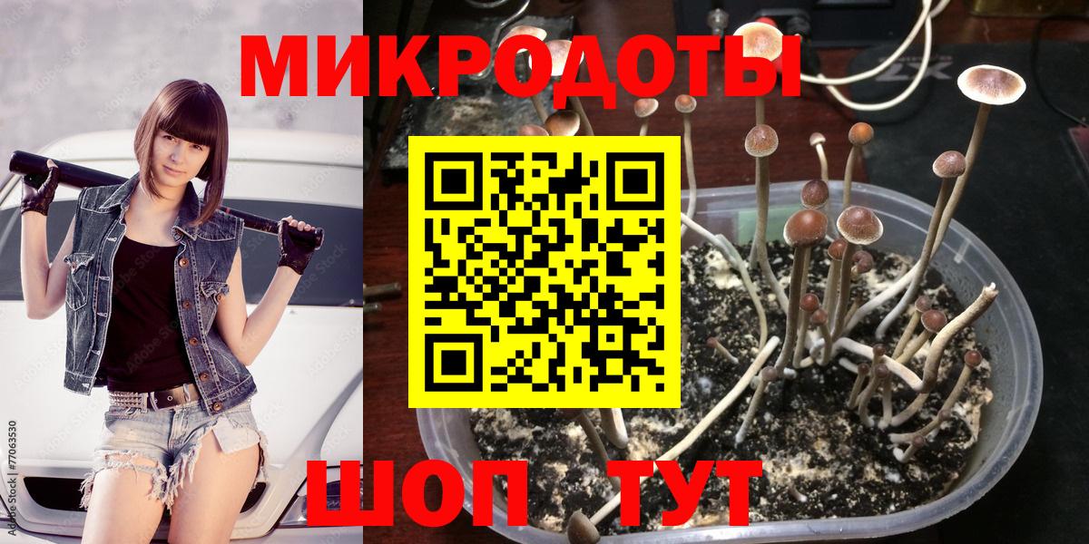 Псилоцибиновые грибы Psilocybine cubensis  Псилоцибиновые грибы мухоморы  Фрязино  Вход с VPN 