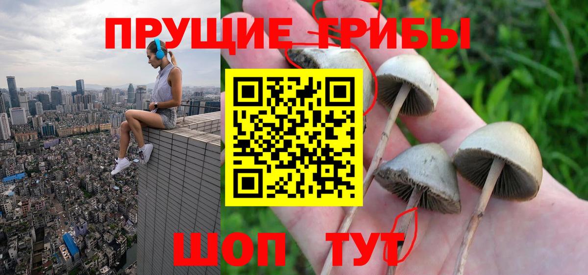 Псилоцибиновые грибы мухоморы Фрязино